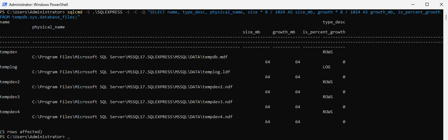 Verified TempDB layout after adding multiple data files and fixed autogrowth settings on a Raff Windows VPS.
