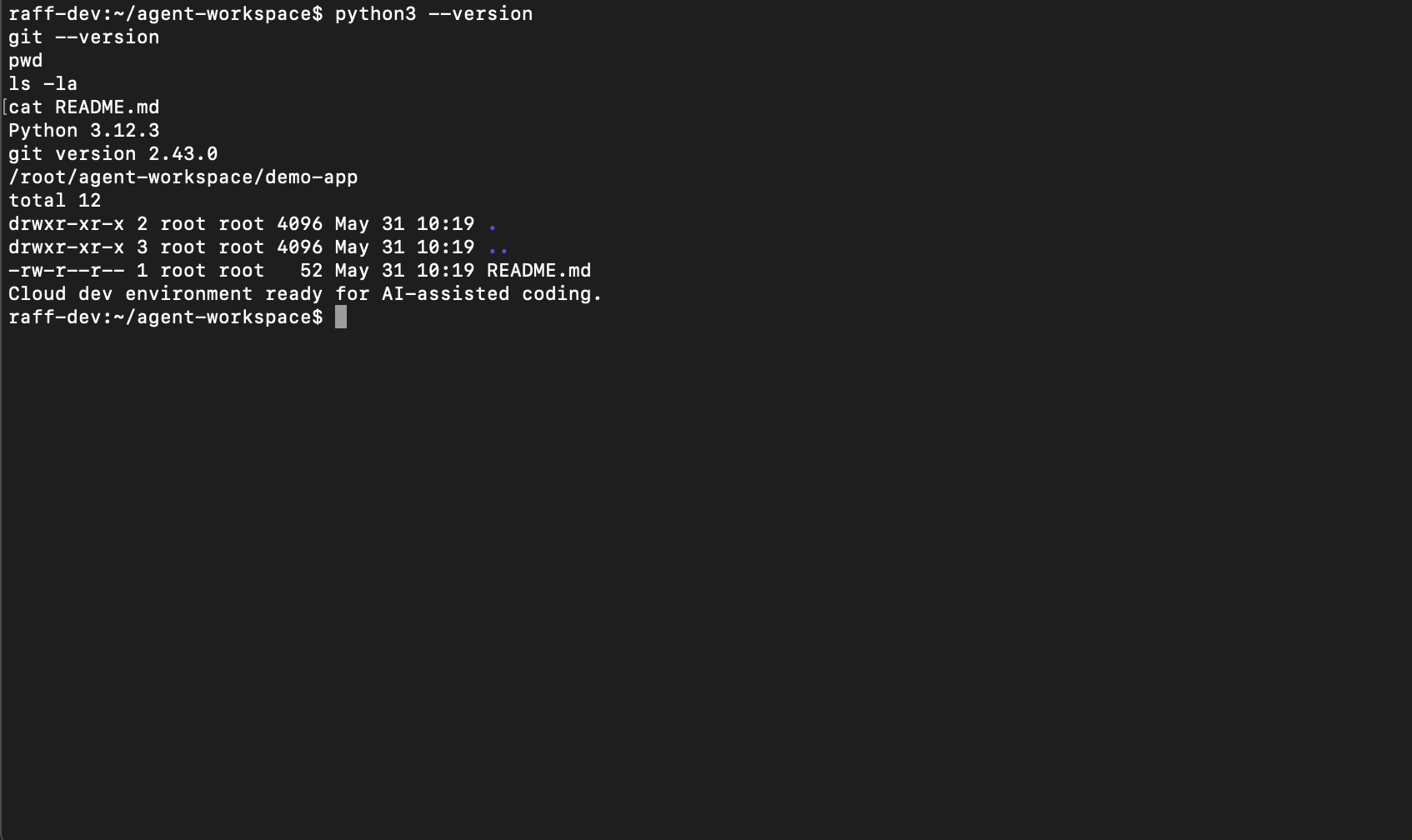 Terminal window connected to a Raff cloud development VM used for testing code in an isolated environment.
