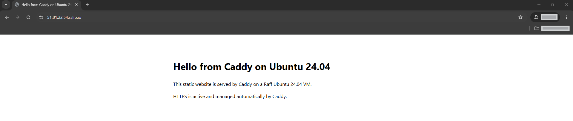 caddy-ubuntu-24-04-01-https-static-site.webp