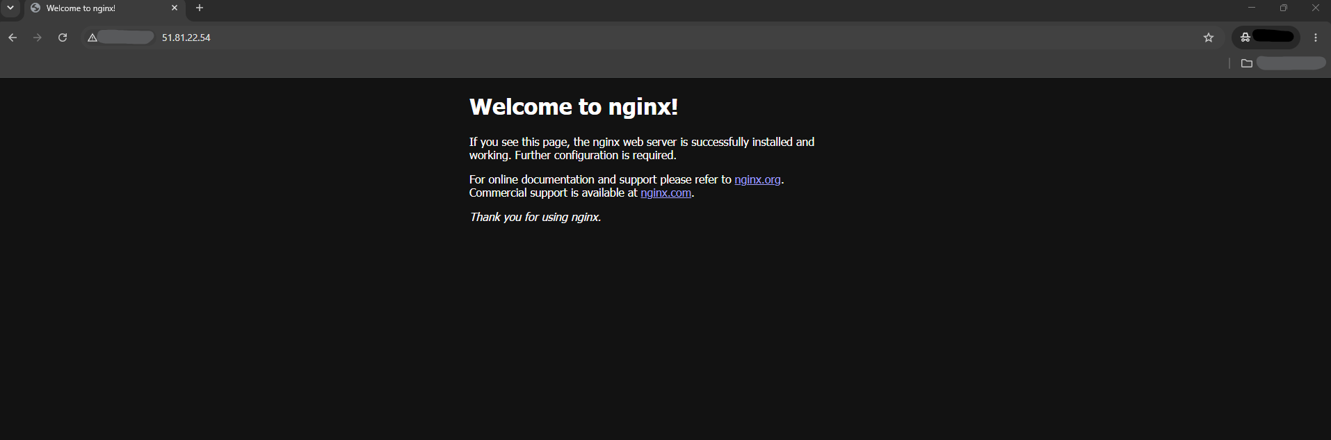 Default Nginx welcome page running on Ubuntu 24.04