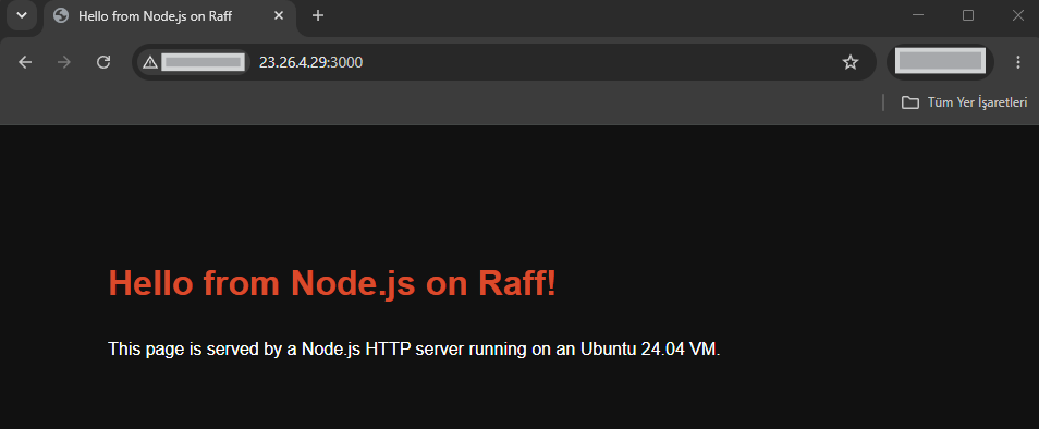 Node.js test HTTP server running on Ubuntu 24.04